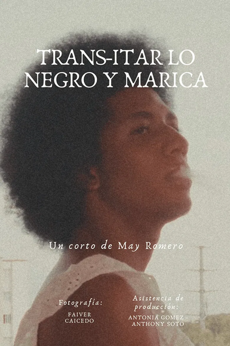 Trans-itar lo Negro y Marica poster background