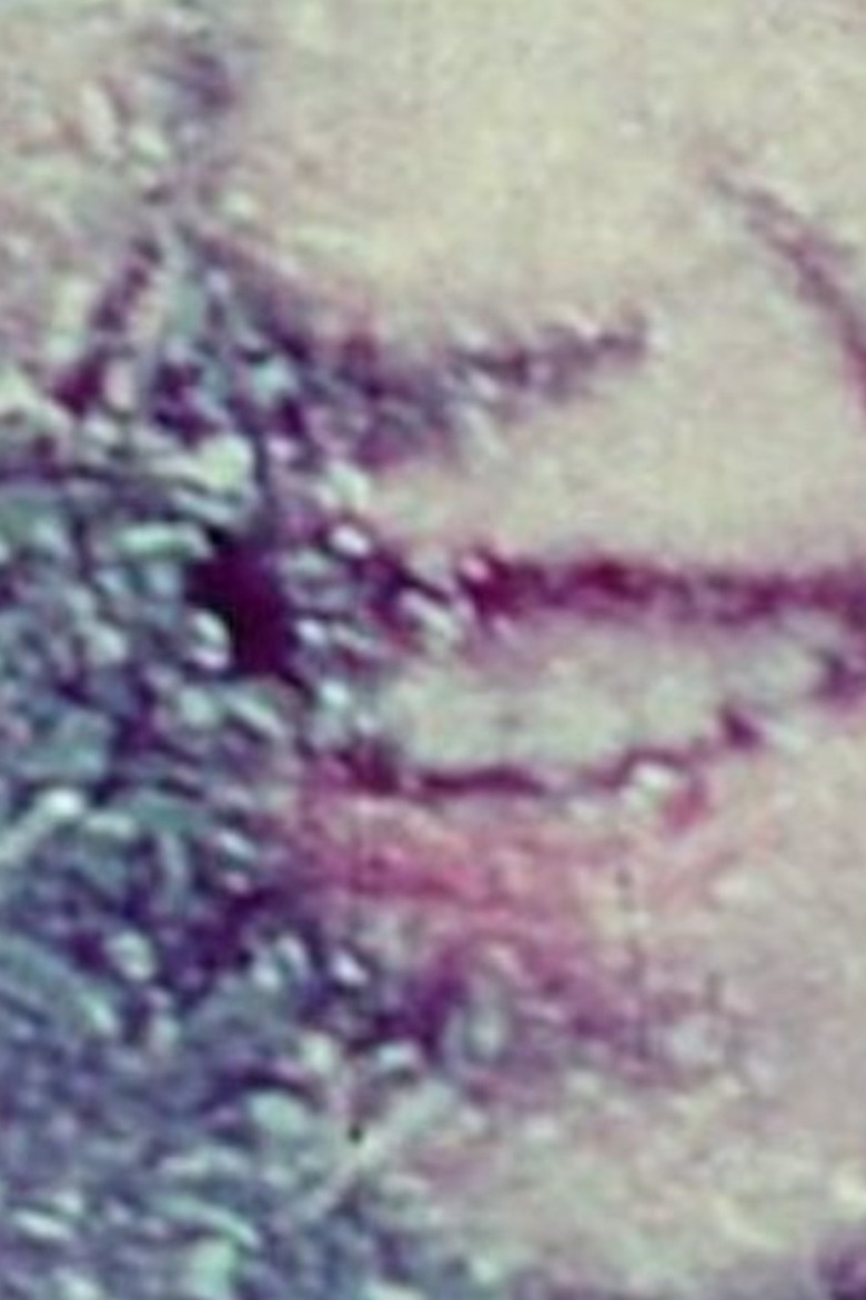 Film Notebook: Part 1 (For Saul) poster background