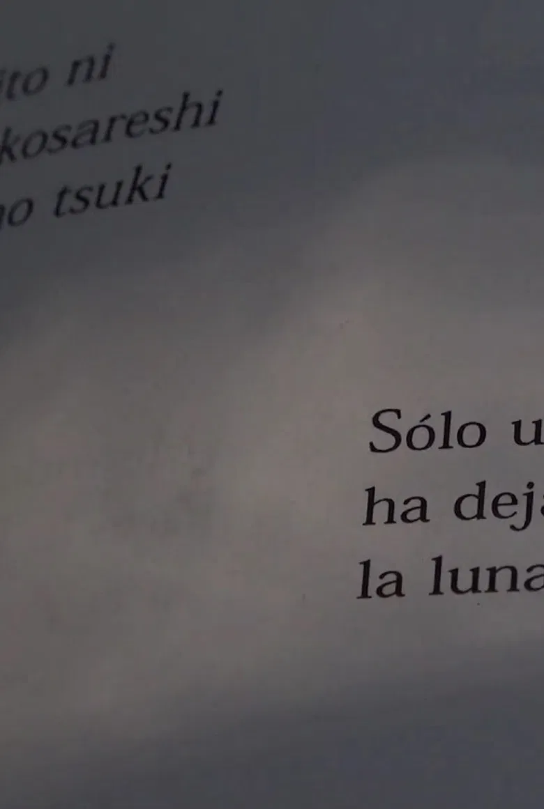 A Ryokan poster background