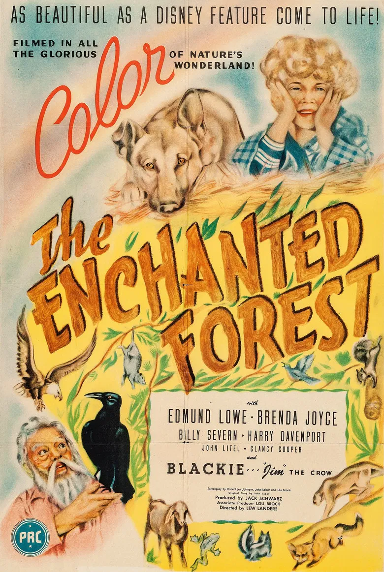 The Enchanted Forest poster background