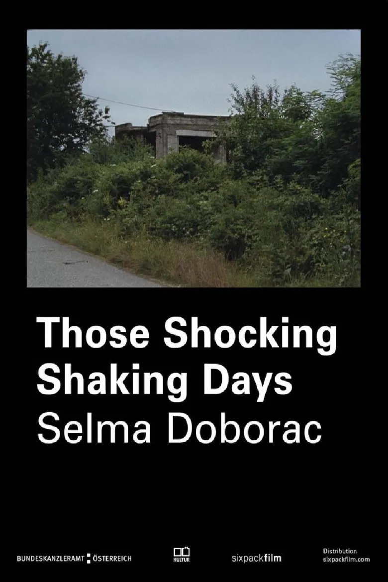 Those Shocking Shaking Days poster background