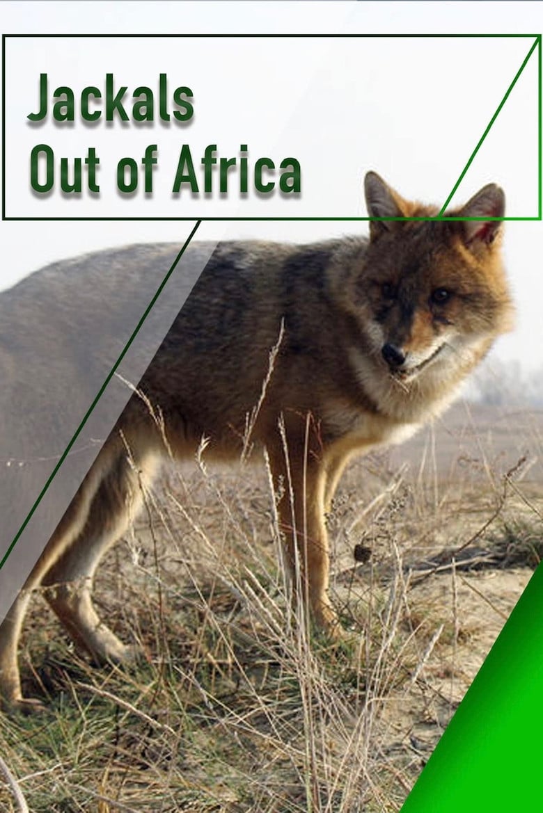 Jackals - Out of Africa poster background