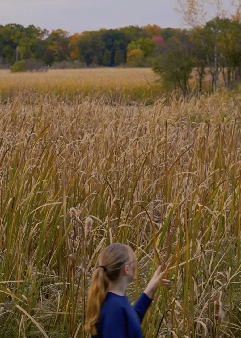 Wheat and Chaff poster background