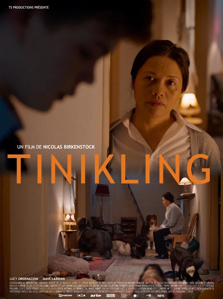 Tinikling poster background