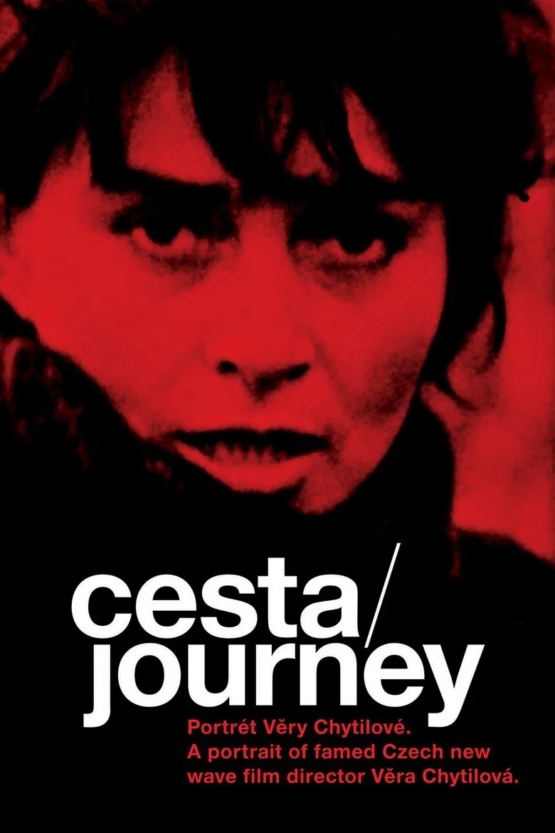 Journey: Portrait of Věra Chytilová poster background