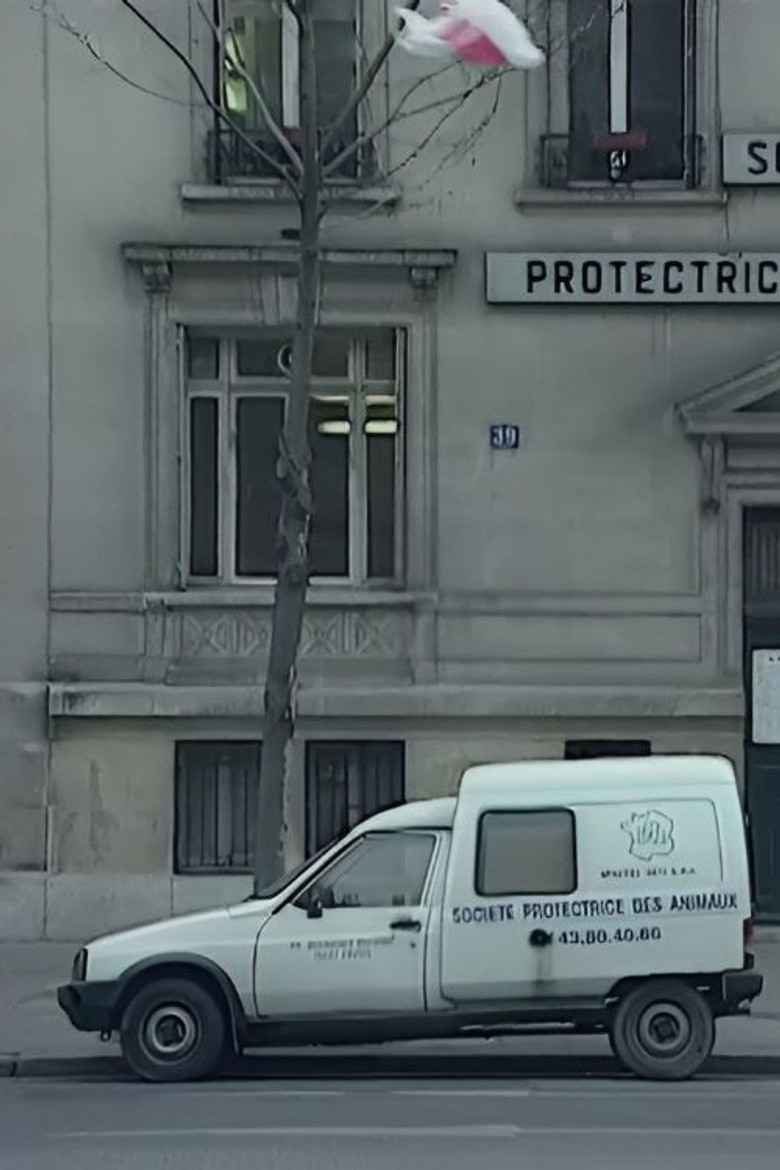 We Are All Cockroaches poster background