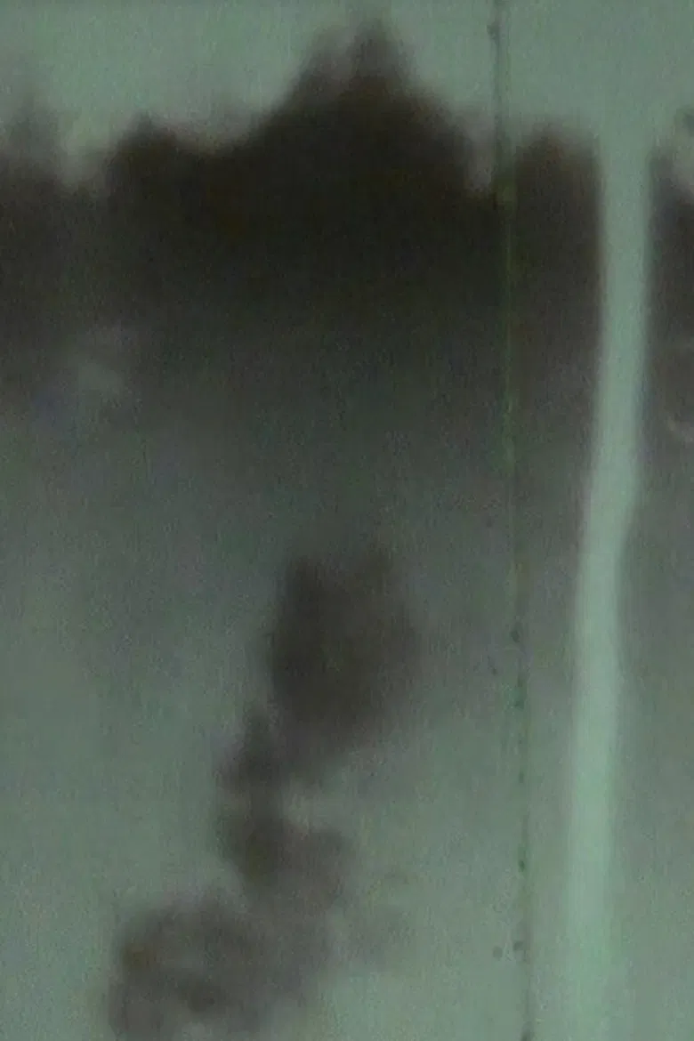 Mountain Home poster background