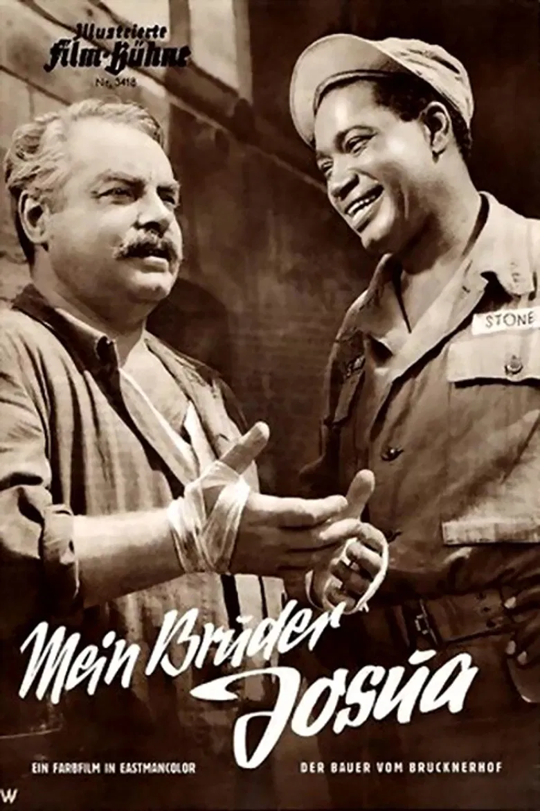 The Farmer from Brucknerhof poster background