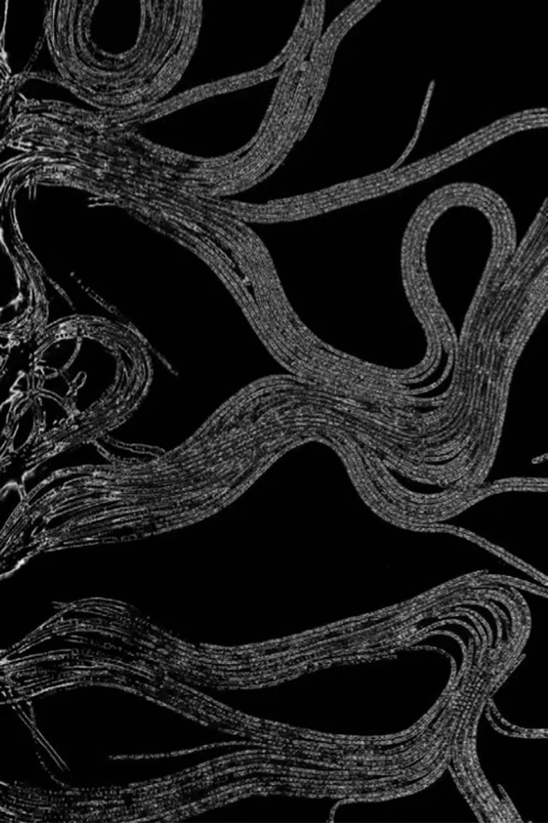 A Free Inquiry Into Air: 110721 poster background