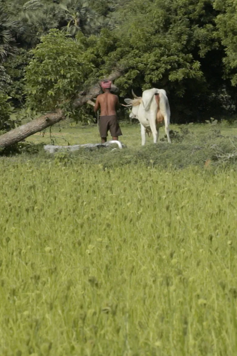 Where I Can’t Be Found poster background