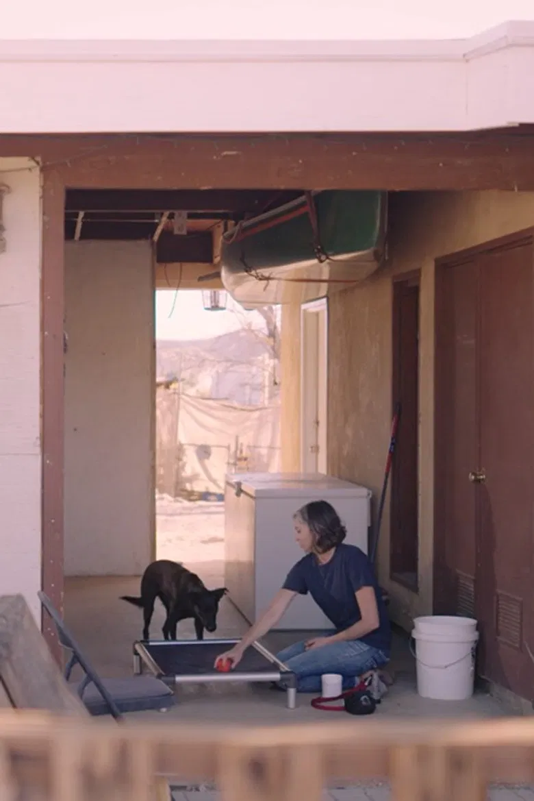 Flightpath poster background