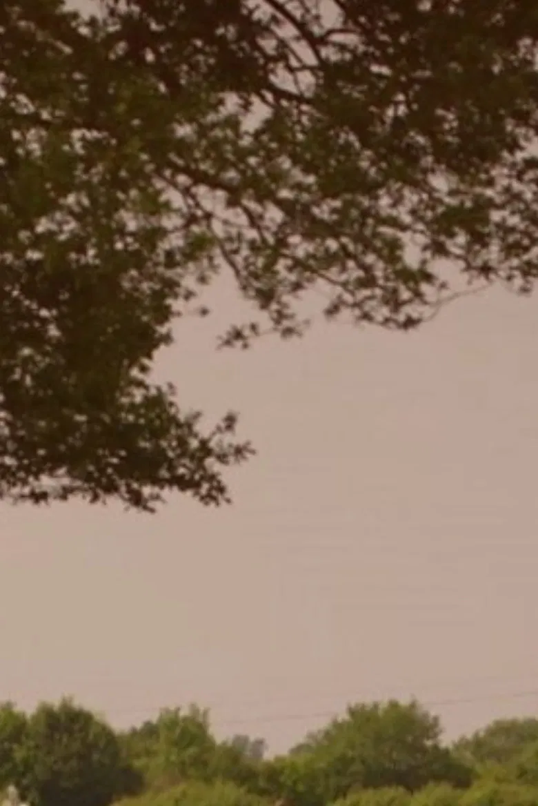 What's Killing Our Bees? poster background