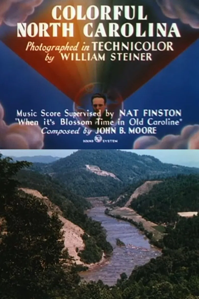 Colorful North Carolina poster background