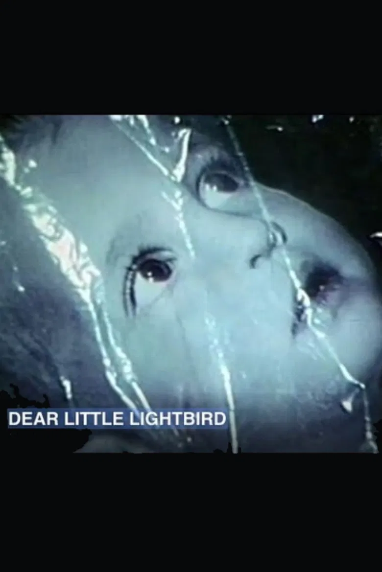 Dear Little Lightbird poster background