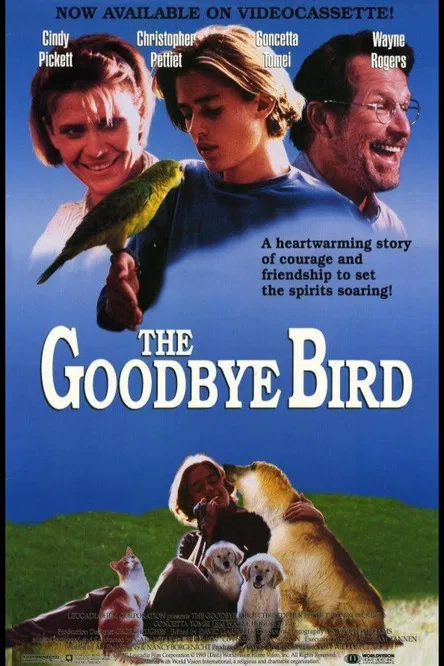 The Goodbye Bird poster background