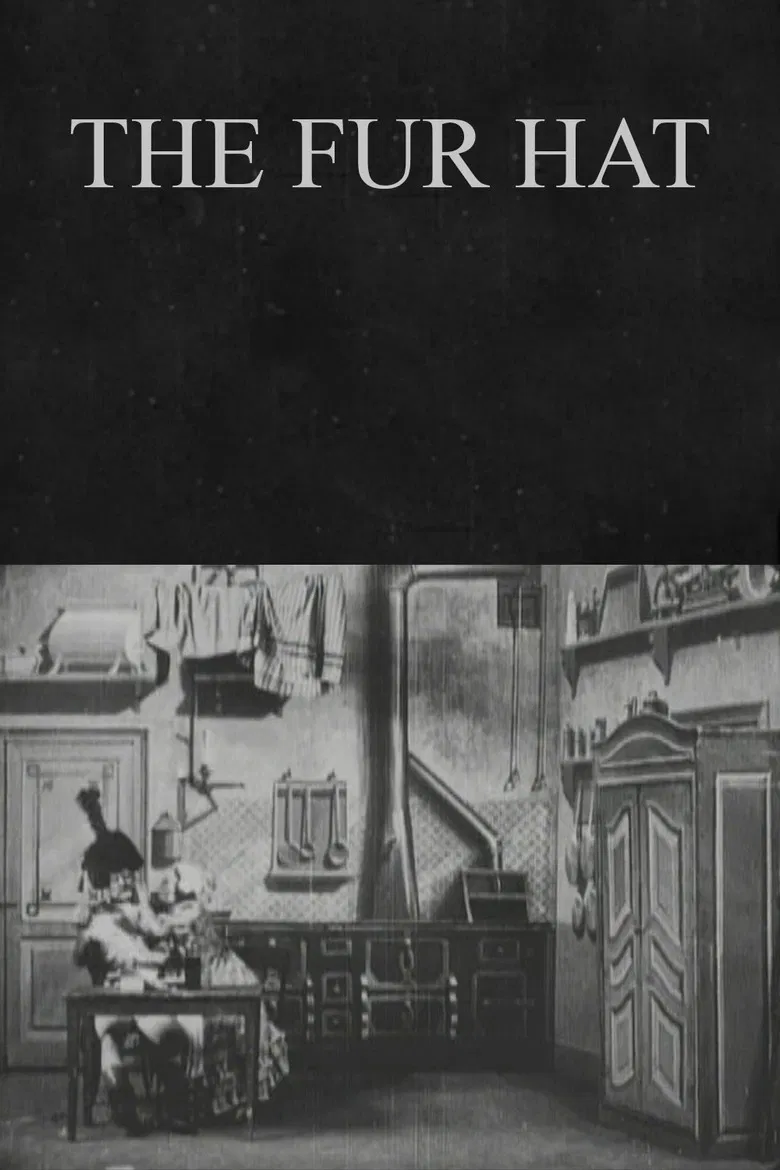 The Fur Hat poster background