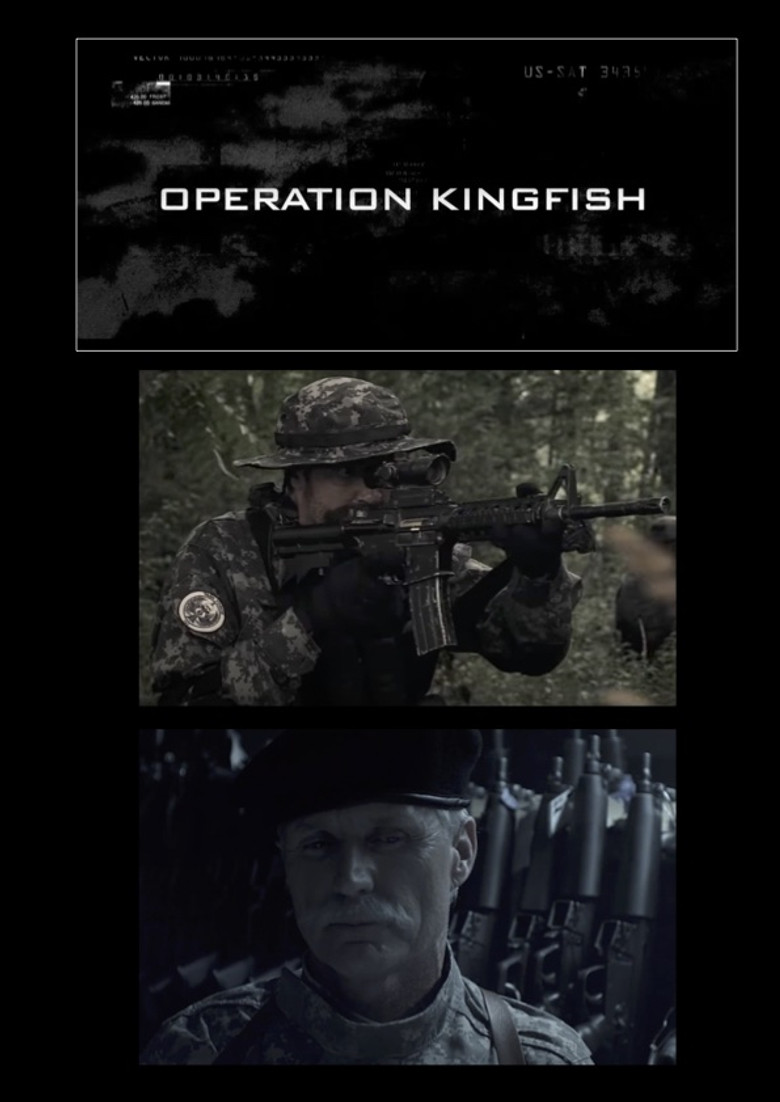 Find Makarov: Operation Kingfish poster background