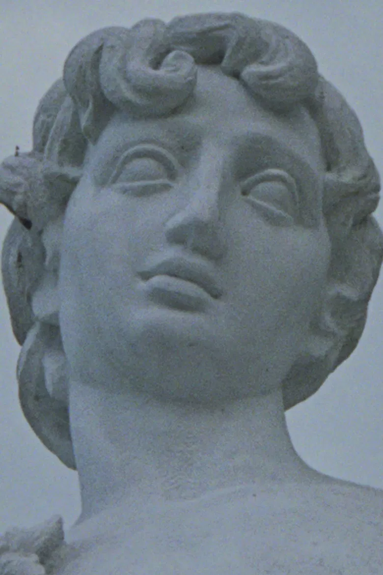 Remapping the Origins poster background