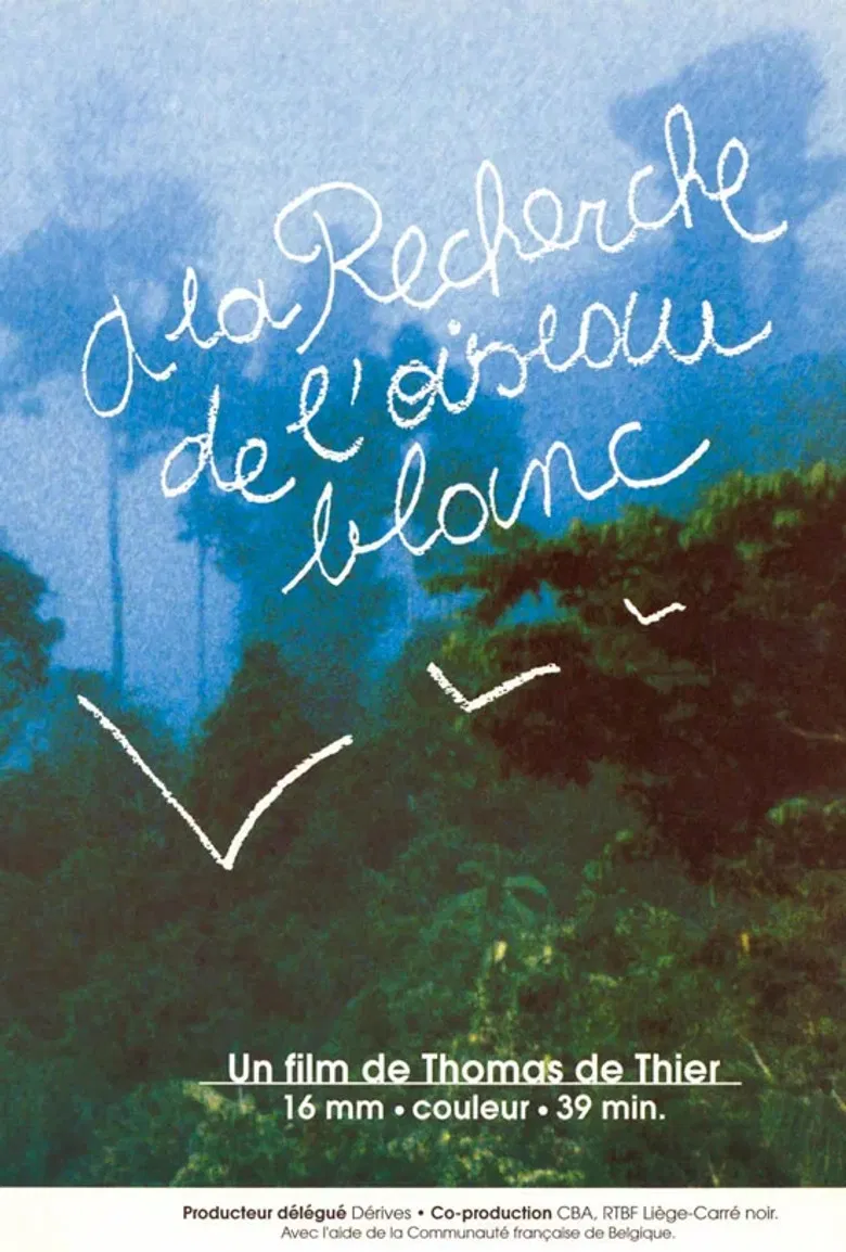 A la recherche de l'oiseau blanc poster background