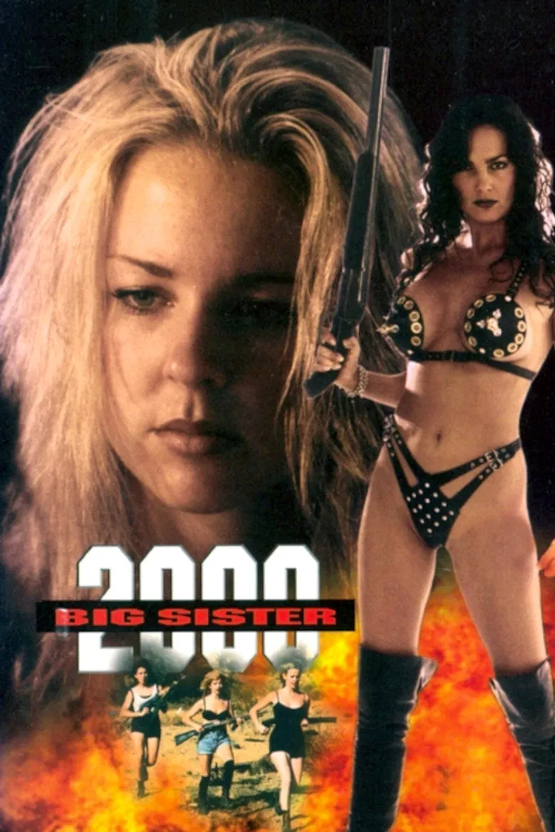 Big Sister 2000 poster background