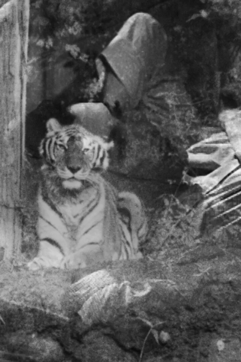 The Horrible Thirty: Me, My Father and Richard the Tiger poster background