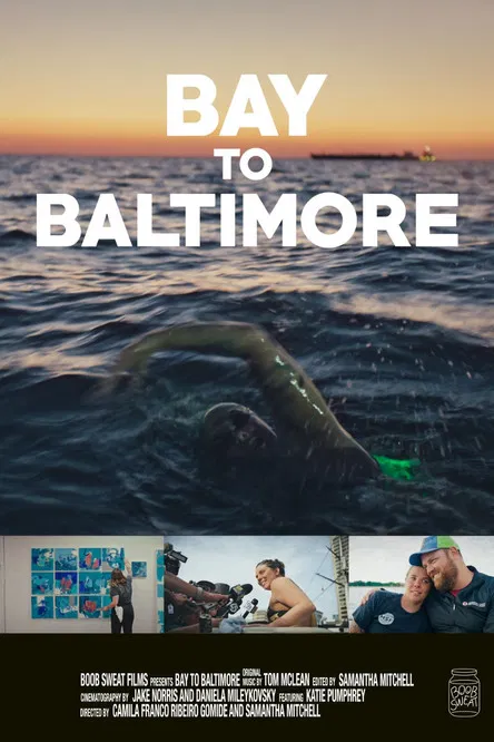 Bay to Baltimore poster background