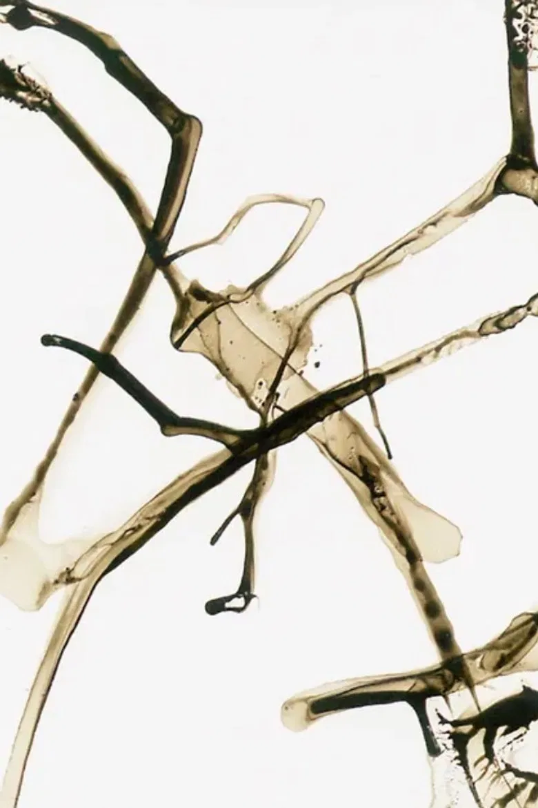 Automatic Writing poster background