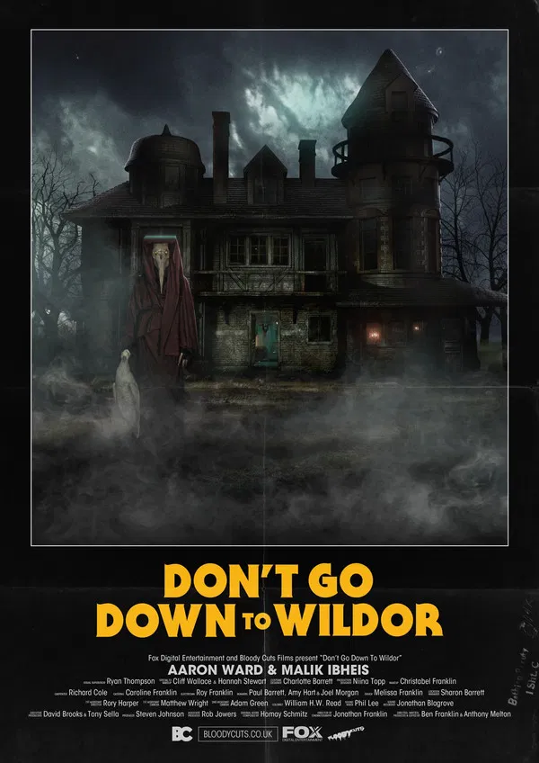 Don’t Go Down to Wildor poster background