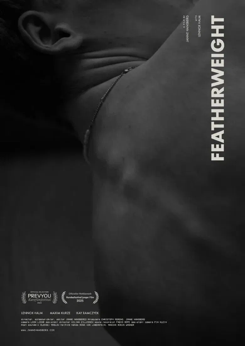 Fliegengewicht poster background