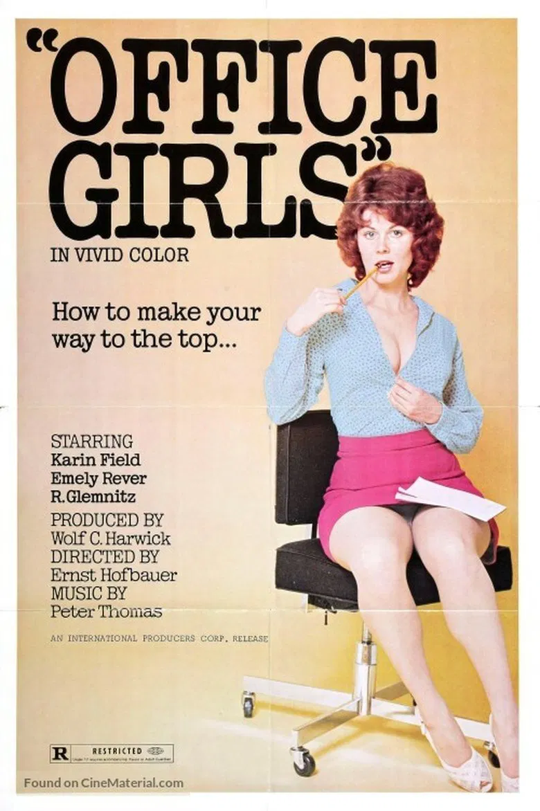 Sex in the Office poster background