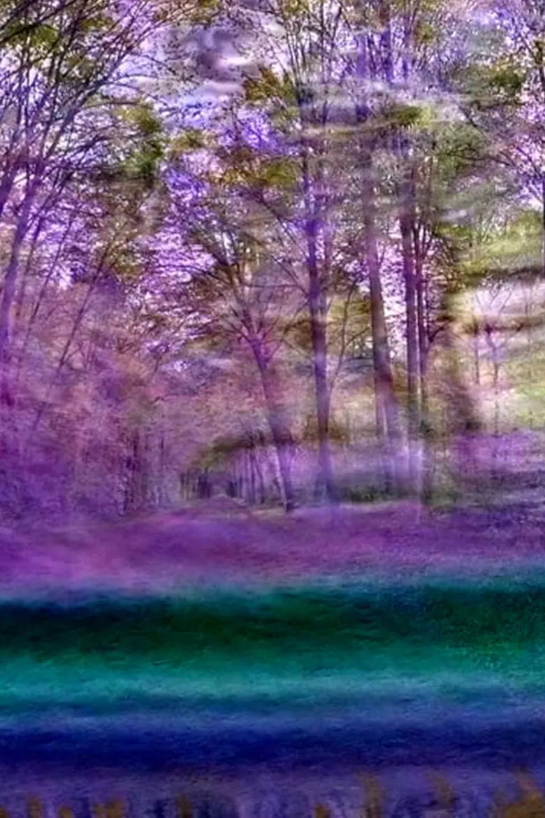 Japa n°4 poster background