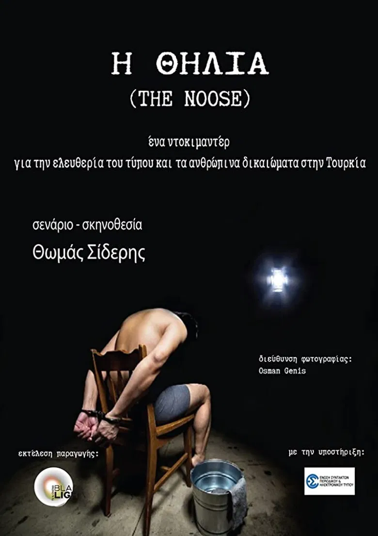 The Noose poster background