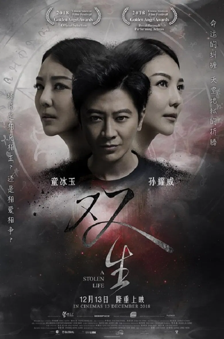 A Stolen Life poster background
