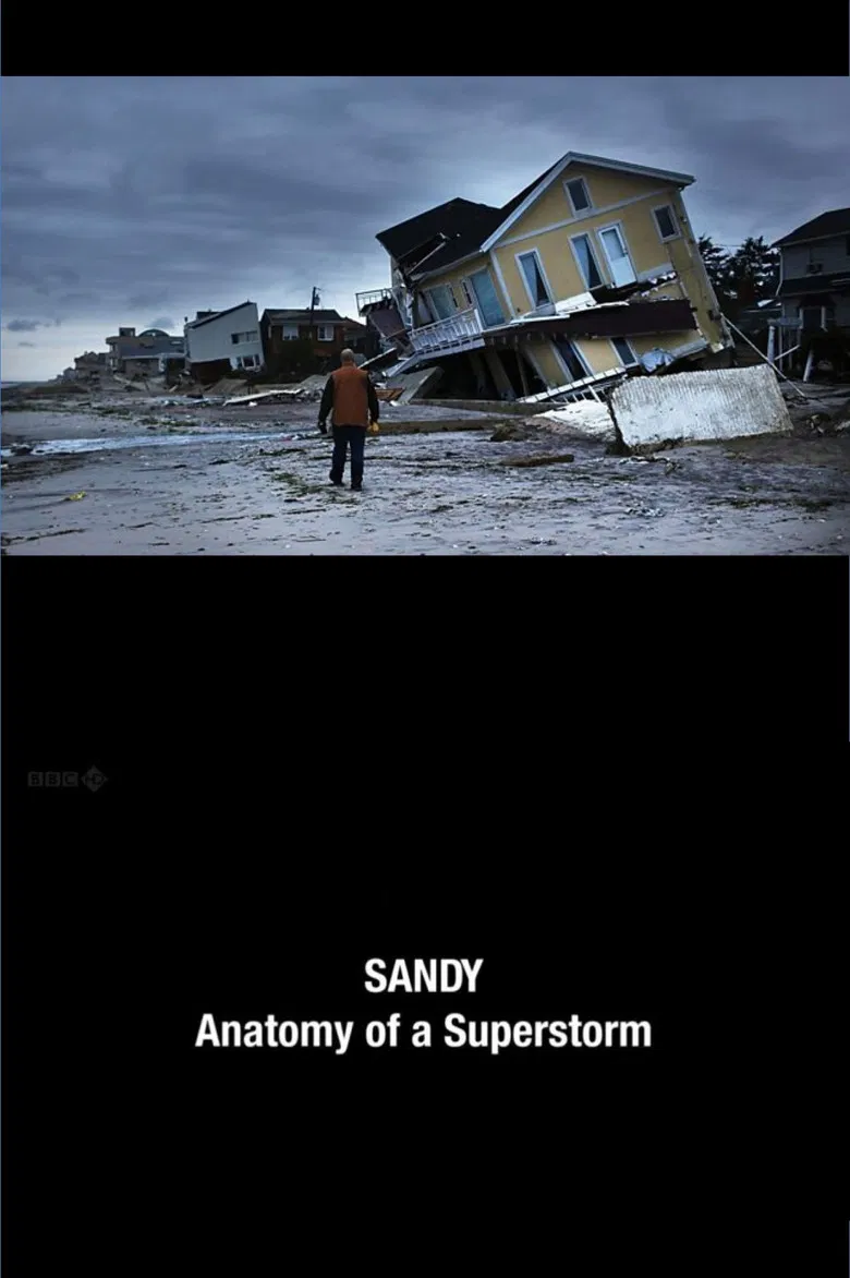 Sandy: Anatomy of a Superstorm poster background
