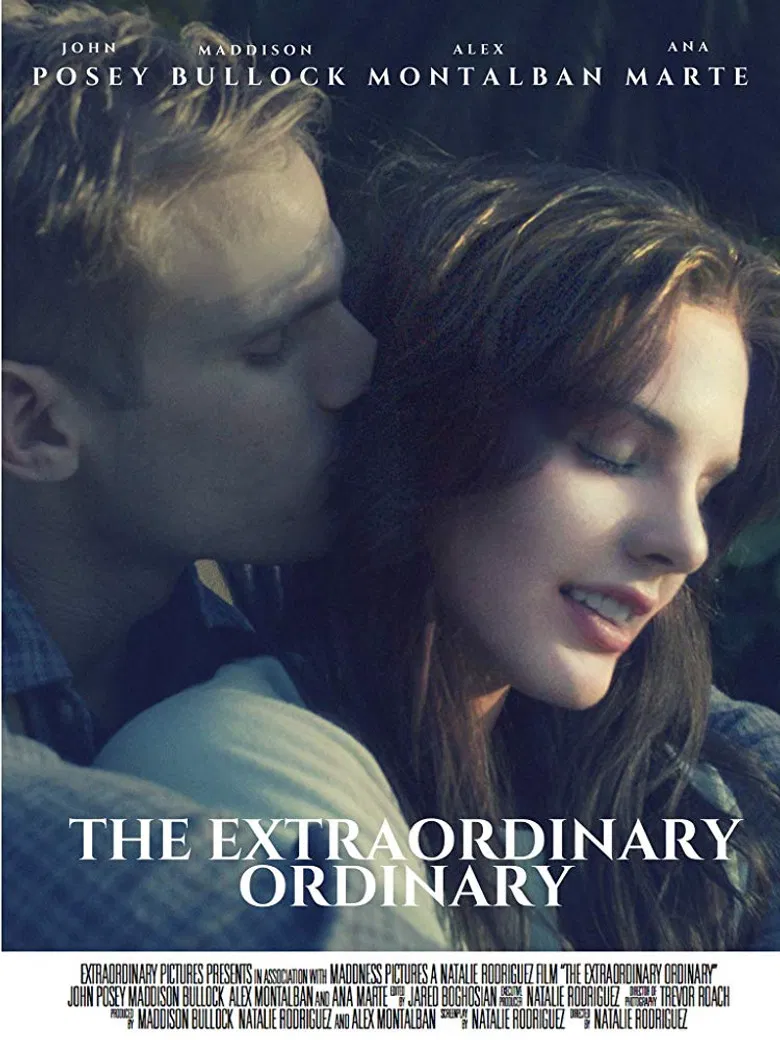 The Extraordinary Ordinary poster background
