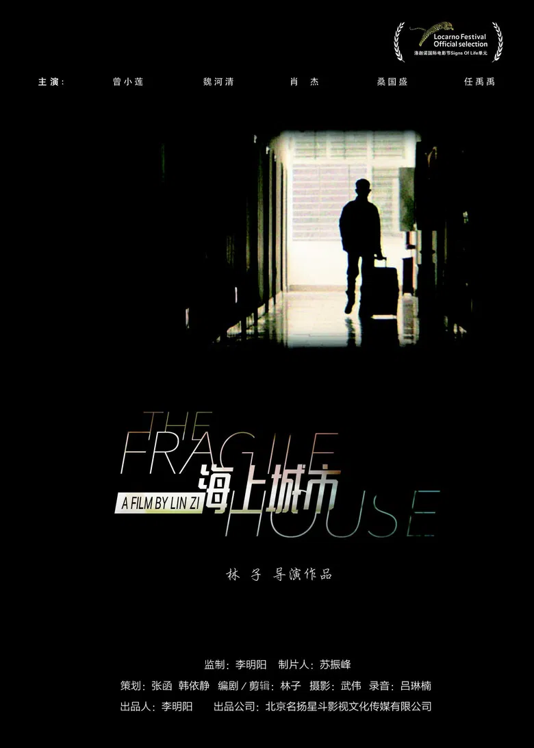 The Fragile House poster background