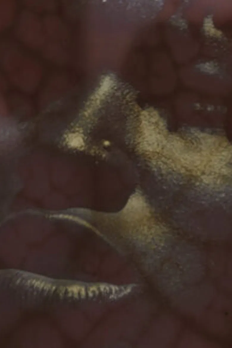 In Vivo poster background