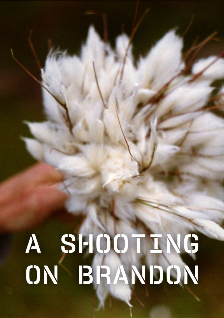 A Shooting on Brandon poster background