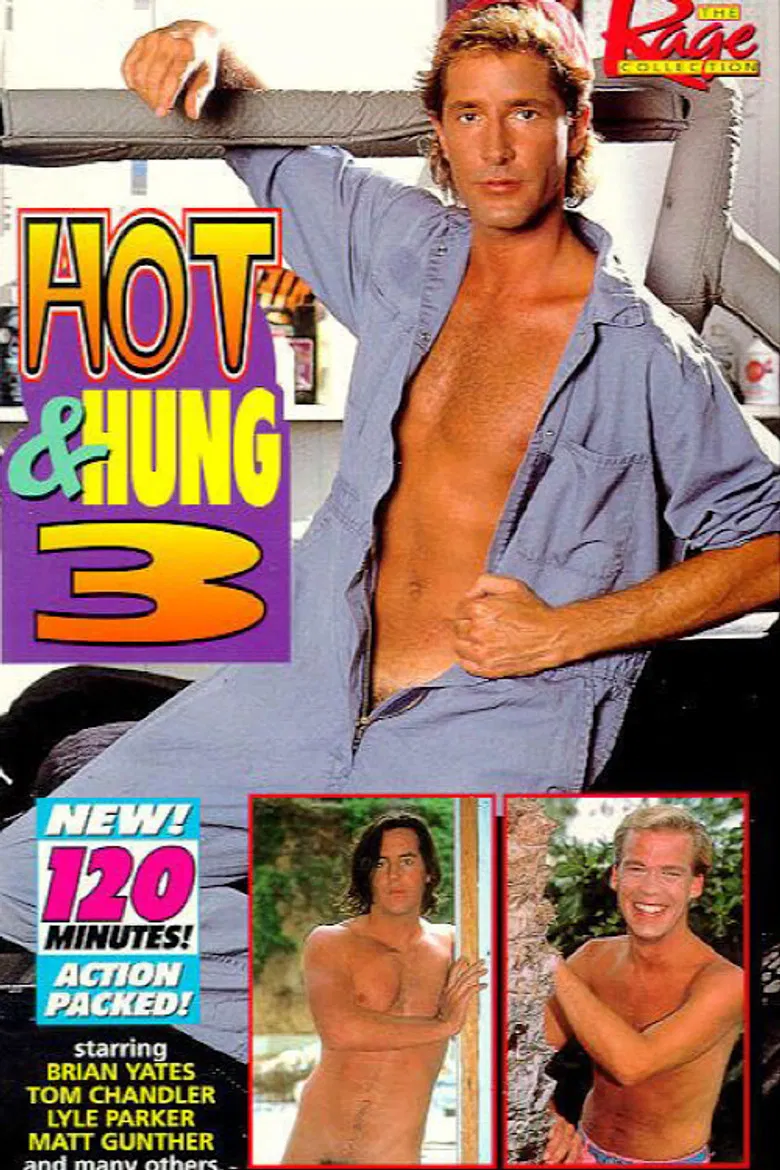 Hot & Hung 3 poster background
