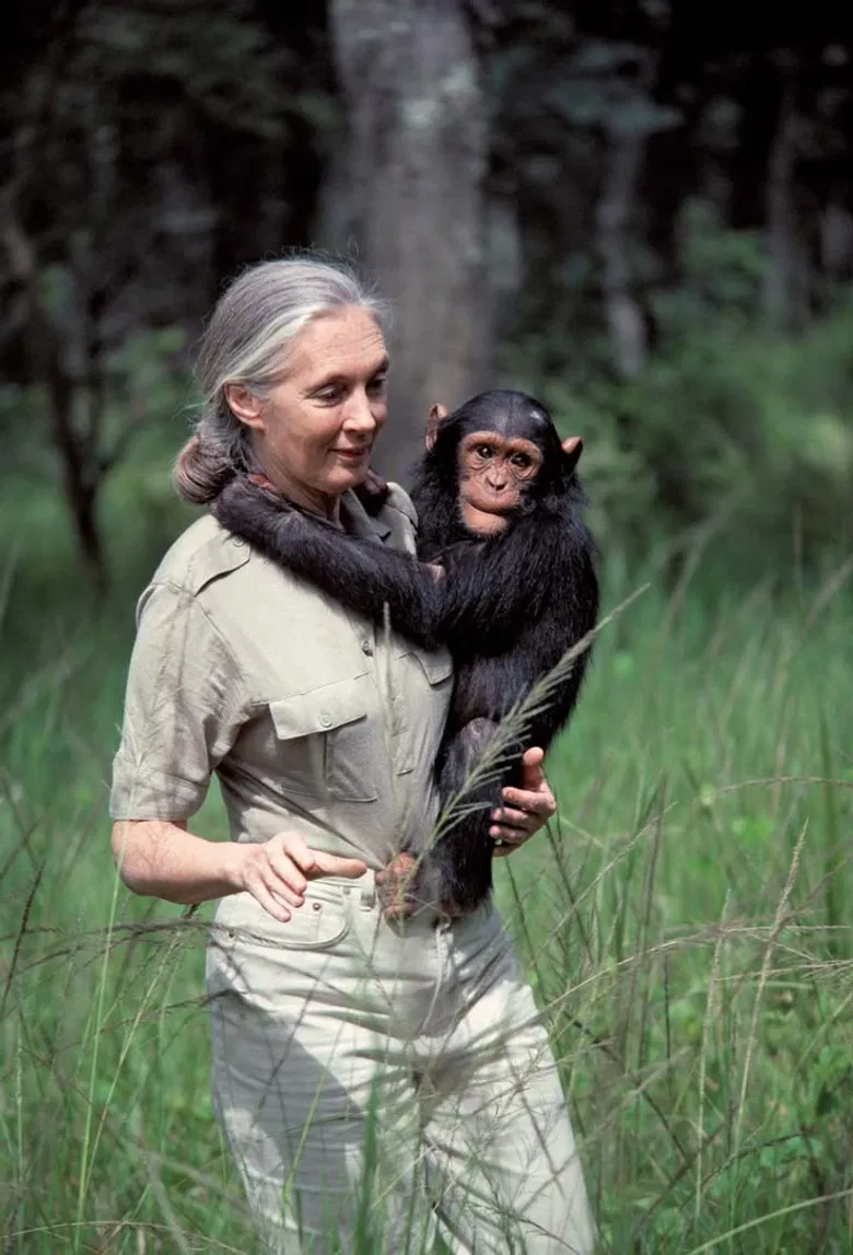 Jane Goodall: An Inside Look poster background
