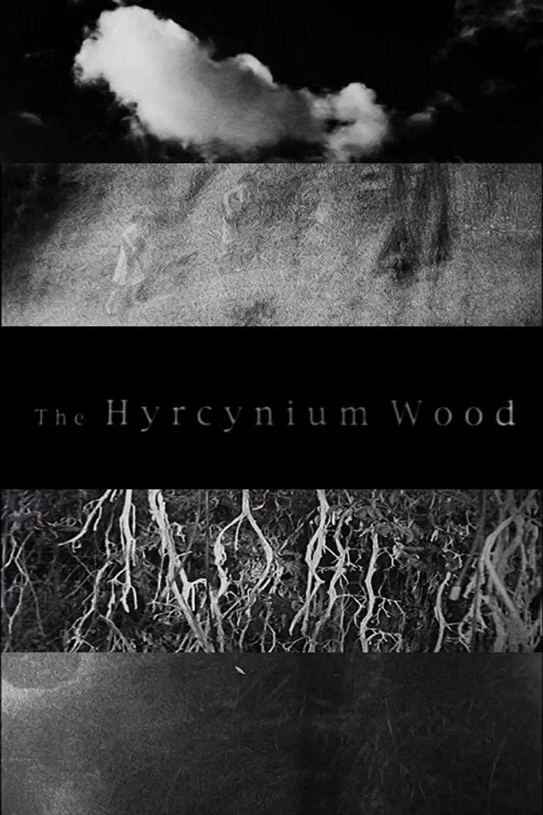 The Hyrcynium Wood poster background