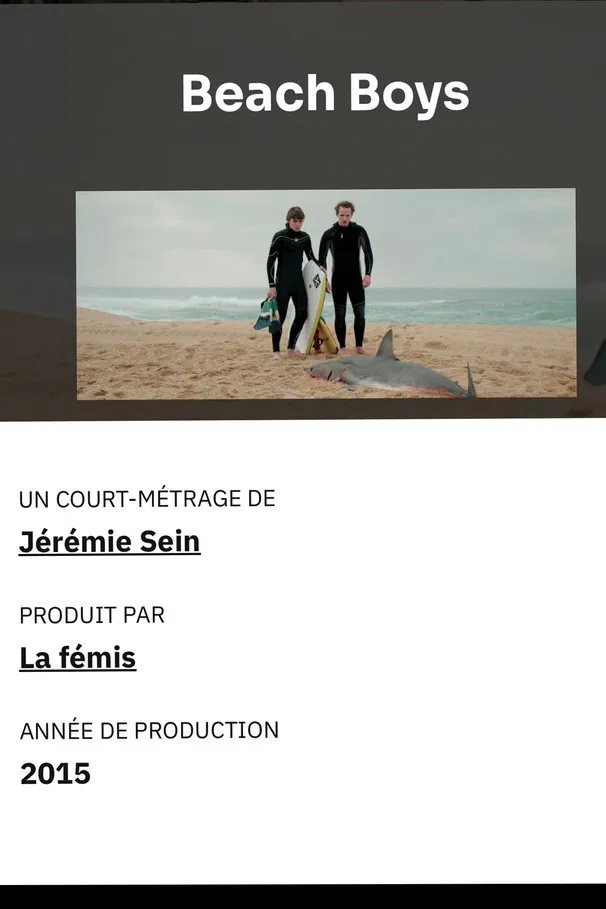 Beach Boys poster background