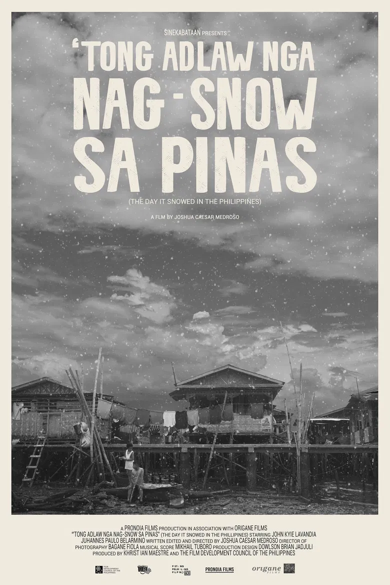 The Day It Snowed in the Philippines poster background