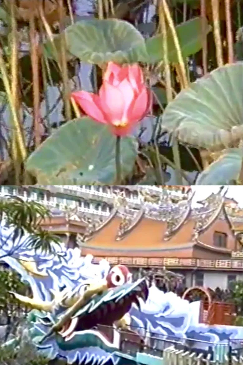 Love is the only true act of Resistance poster background