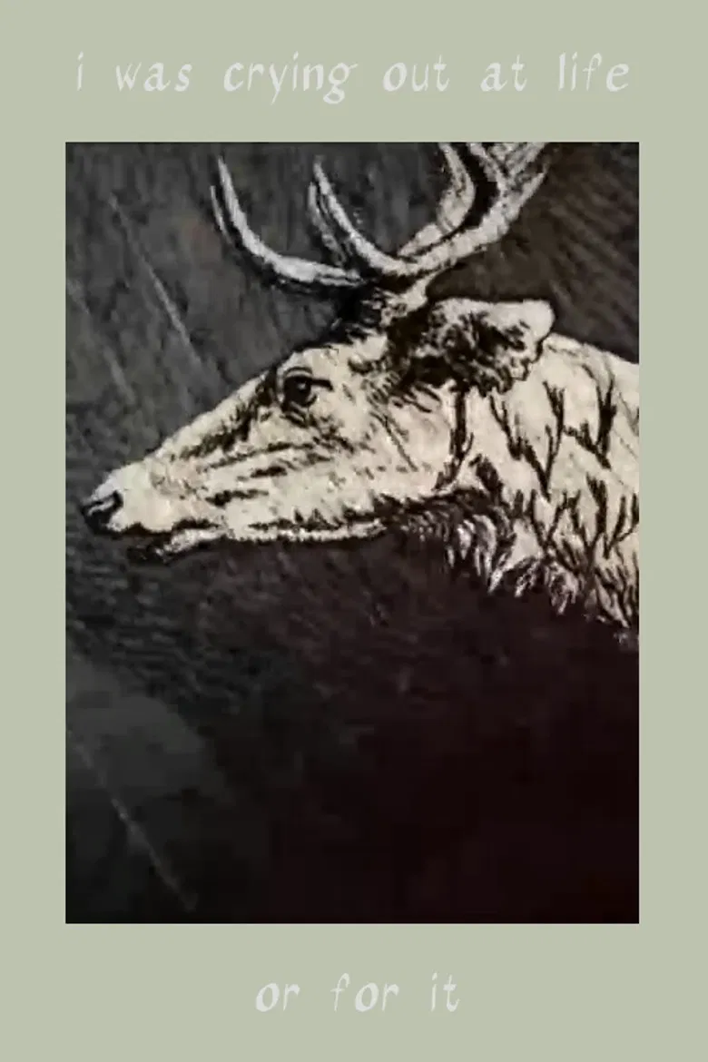 I Was Crying Out at Life. Or For It poster background