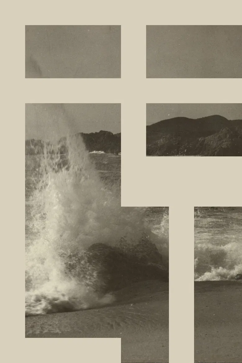 FELT poster background