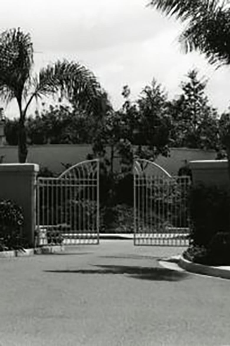 Visible Cities poster background