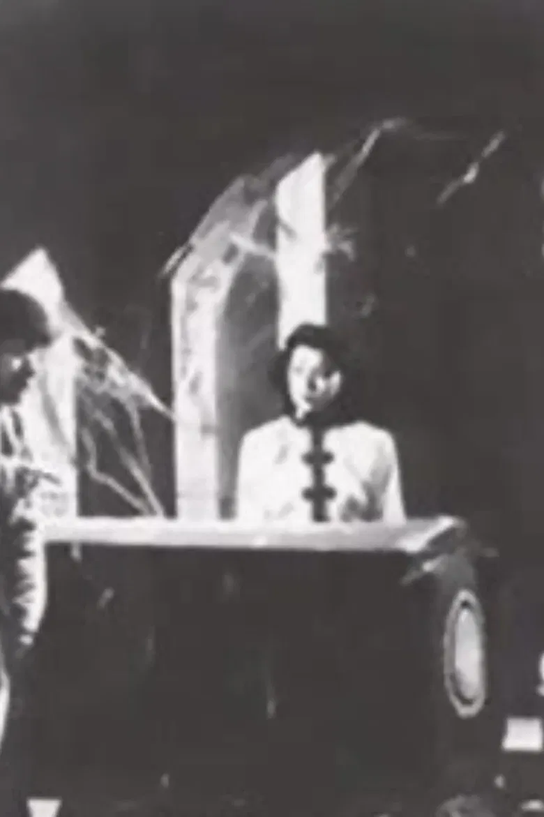 Ghost Woman of the Old Mansion poster background