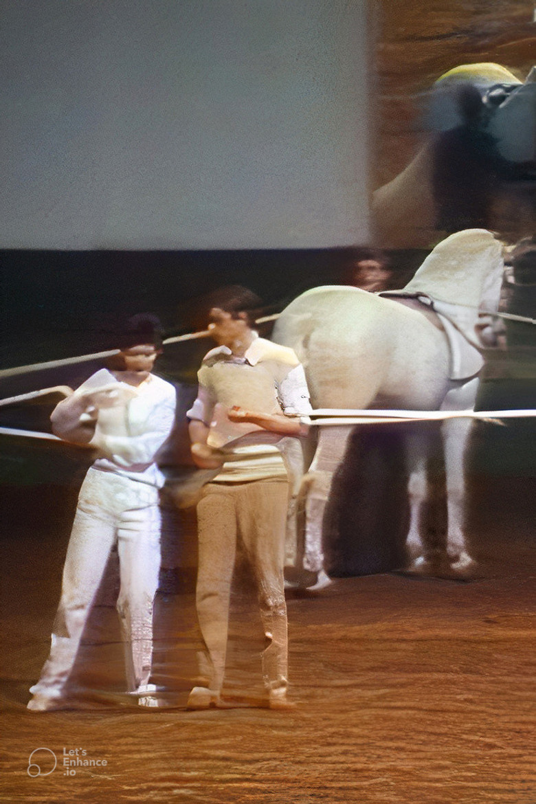 Kaiserschnitt poster background