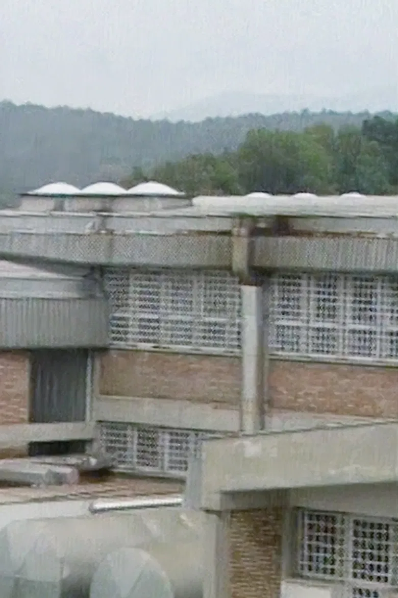 Postcards poster background